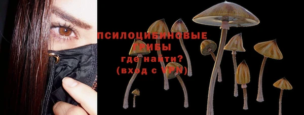 ECSTASY Дмитровск