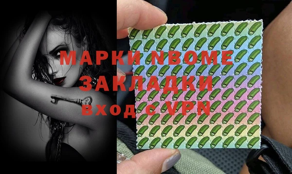 стаф Дмитриев
