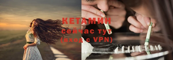 стаф Дмитриев