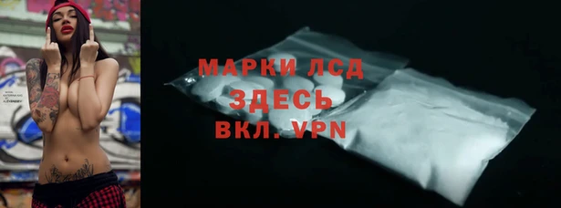 стаф Дмитриев