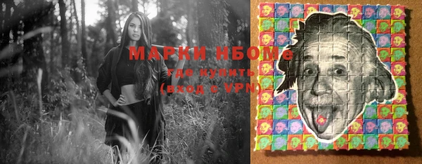 стаф Дмитриев