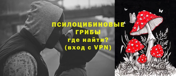 ECSTASY Дмитровск