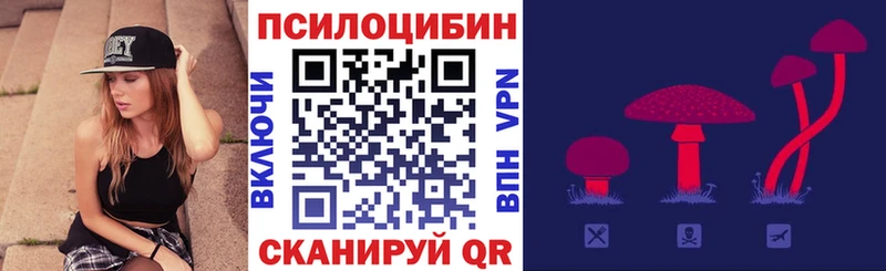 Галлюциногенные грибы MAGIC MUSHROOMS  наркотики  Звенигород 