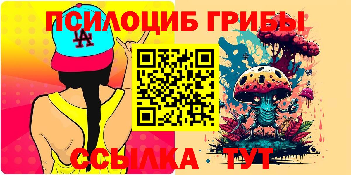 Псилоцибиновые грибы мицелий  Вход с VPN  наркошоп  Звенигород 